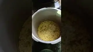 Food for jaundice #trending #food