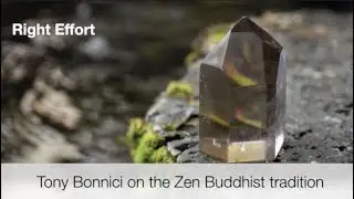 Gems from the Wisdom Traditions: Right Effort - Tony Bonnici