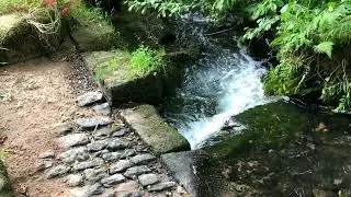 Die Alte Viehschwemme am Gammelsbach in Oberzent