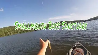 Kayak Smallmouth Bass Fishing Laurel Bed Lake Saltville Virginia Old Town Topwater 120 PDL