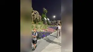 Обзор Дубаи Сад Чудес (Dubai miracle garden view)
