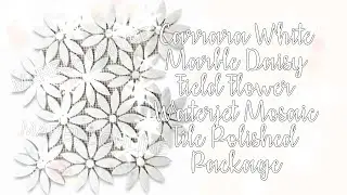 Carrara White Marble Daisy Field Flower Waterjet Mosaic Tile Polished Package
