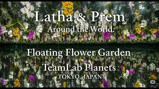TeamLab Planets | Floating Flower Garden |Japan #shorts #ytshorts #youtubeshorts #tokyo #japanshorts