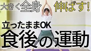 【食後すぐの軽い運動🔥】立ったままストレッチで大きく伸ばし動かす🔥