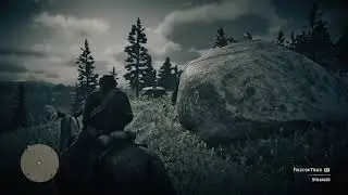 RDR2 - Killer clue 1 - Murder mystery