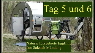 Tg.5/6.Salzach-Inn Mündung. Egglfing Vogelkundeweg mit Fahrradwohnwagen. Viele Vögel. Ostertour 2022