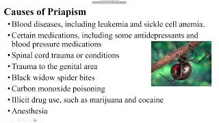 Priapism