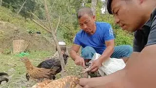 Nature worship with local chicken || A hidden story || Farming Nepal Aara