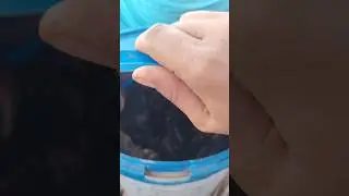 PURPLE CRABS FROM BARIT ISLAND || FUGA ISLAND APARRI CAGAYAN || YHANG RANDOM VIDEOS #shorts