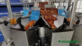 Maxpack Multihead Weigher Scales: Vegetables - Cherry Tomatoes