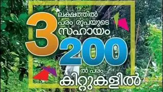 പ്രളയസഹായവുമായി യുവജനകൂട്ടായ്മ ... നിലമ്പൂര്&zwj; #Flood2019 #Nilambur