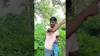 dabdaba tha dabdaba hai dabdaba bana rahega #viralshort #shorts