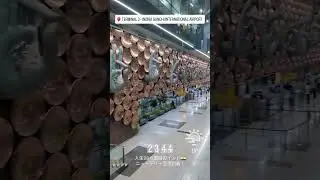 インド・デリー到着！インディラ・ガンディー国際空港（ターミナル3）の巨大なオブジェに感動