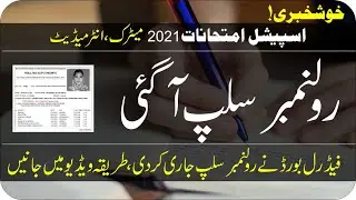 Roll number slips special exam 2021 | special exam 2021 roll no slip | taleemi khabrain