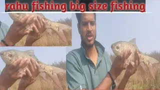 rahu fishing best bite in winter season |big rahu fishing in village|incredible fishing|hunting fish