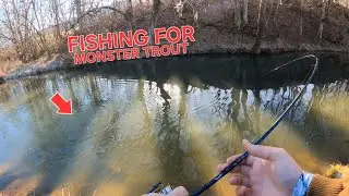 Trophy Trout Fishing with Excellent Anglers (Surprise Last Catch!!)