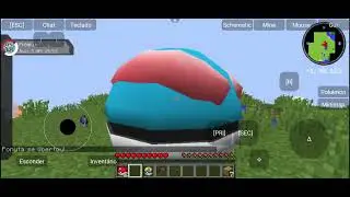 Aci pokémon 