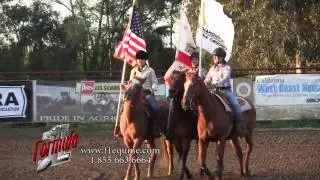 507  PROfile Sherry Cervi
