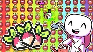 I Covered The Entire World In Beets To Become A God in Forager