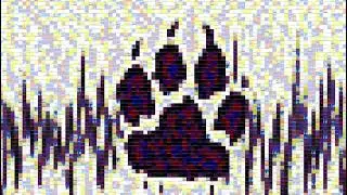 Wolf Call Variations