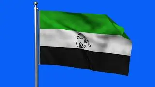 All India United Democratic Front FLAG ANIMATION GREEN SCREEN (4K LOOP VIDEO)