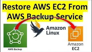AWS Cloud Disaster Recovery  : How to Restore AWS EC2 from AWS Backup Recovery Point | VM Backup