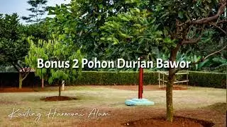 Jauh-jauh Ke Lokasi Tanah Murah Ternyata Begini Lokasinya!!!