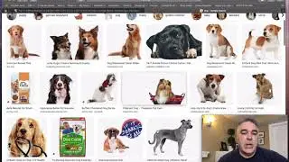 Hidden Tricks and Tips for Searching Google Images