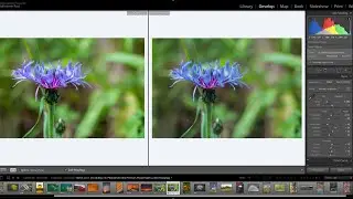 Программная цветопроба в Lightroom Classic от Джулианны Кост I Эпизод 4