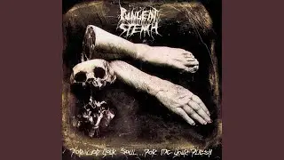 Suspended Animation (Remixed & Remastered 1993 Version)