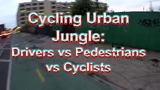 Cycling Urban Jungle: Drivers vs Pedestrians vs Cyclists