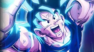 SEZA 1000 Day LR Goku is Pretty Strong