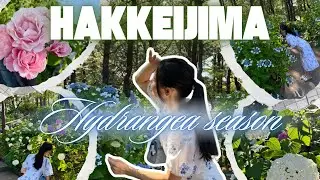 #43 Hydrangea Park 🦋 | Mitsui Outlet Park Yokohama Bayside 🛒🛍️