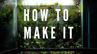 How To Make a Naturalistic Vivarium Background