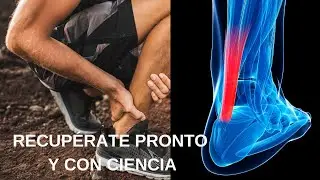 Tendinitis del Aquiles / Lo que necesitas saber / dolor en la pierna o tobillo