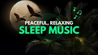 Soft Instrumental Music for Deep Sleep | 1 hour ASMR