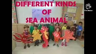 Amazing Aquatic Animals Costumes | Sea Animals Fancy Dresses for kids