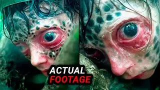 These Viral Videos Will Disturb Every Living Soul Right Away..