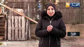 مرا ونص/ السيدة 