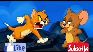 Orange Cat Midnight Chase | Classic Cartoon Animation | Funny Cat and Mouse Adventure 2026