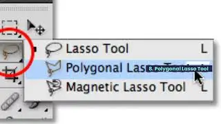 12 powerful Functions of Move and Selection Tools in Adobe Photoshop | selection tools photoshop