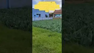 2 Plots for sale in Hosur Near alasanatham #realestatehosur#property #home #shorts#short