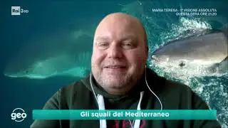 Gli squali del Mediterraneo - Il dott. Emilio Sperone a Geo e Geo del 28/12/2020