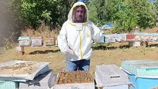 Güz Bölmesi