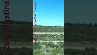 VLINE Southern Cross To Swan Hill 231225 #VLINE #TRAINS #TRAVEL #SHORTS #RAILFANS #RAILWAY #RAIL