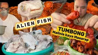 Masarap na TUMBONG Malinis ang Pagkakahugas | Kakaibang ISDA at Sikat na Tuslob Buwa