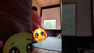 Cleaning up after last night's live stream