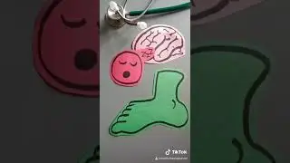 Why is my foot asleep? #Shorts #MedicineExplained #Shelf