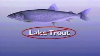 Fishing TV Show FishnStixTV #110 World Record Lake Trout