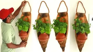 Hanging plants ideas | plants decoration ideas | home decor 